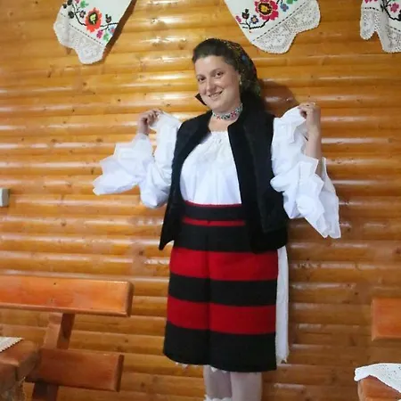 Casa de hóspedes Sub Creasta Cocosului 3*