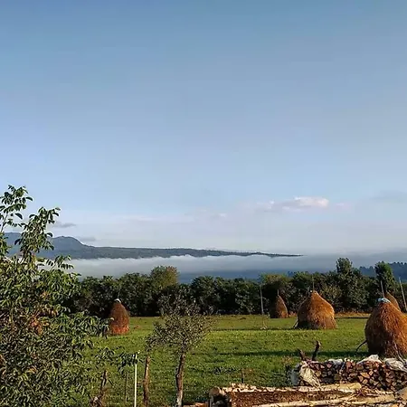 Sub Creasta Cocosului Casa de hóspedes Breb